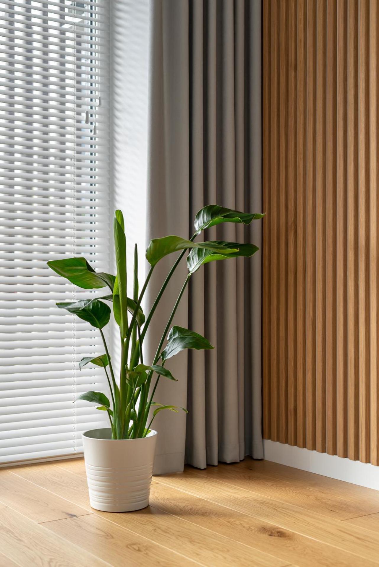 D33 Vilnius - Brand New Luxury Apartment With Terrace, Garden, Ac And Parking Esterno foto